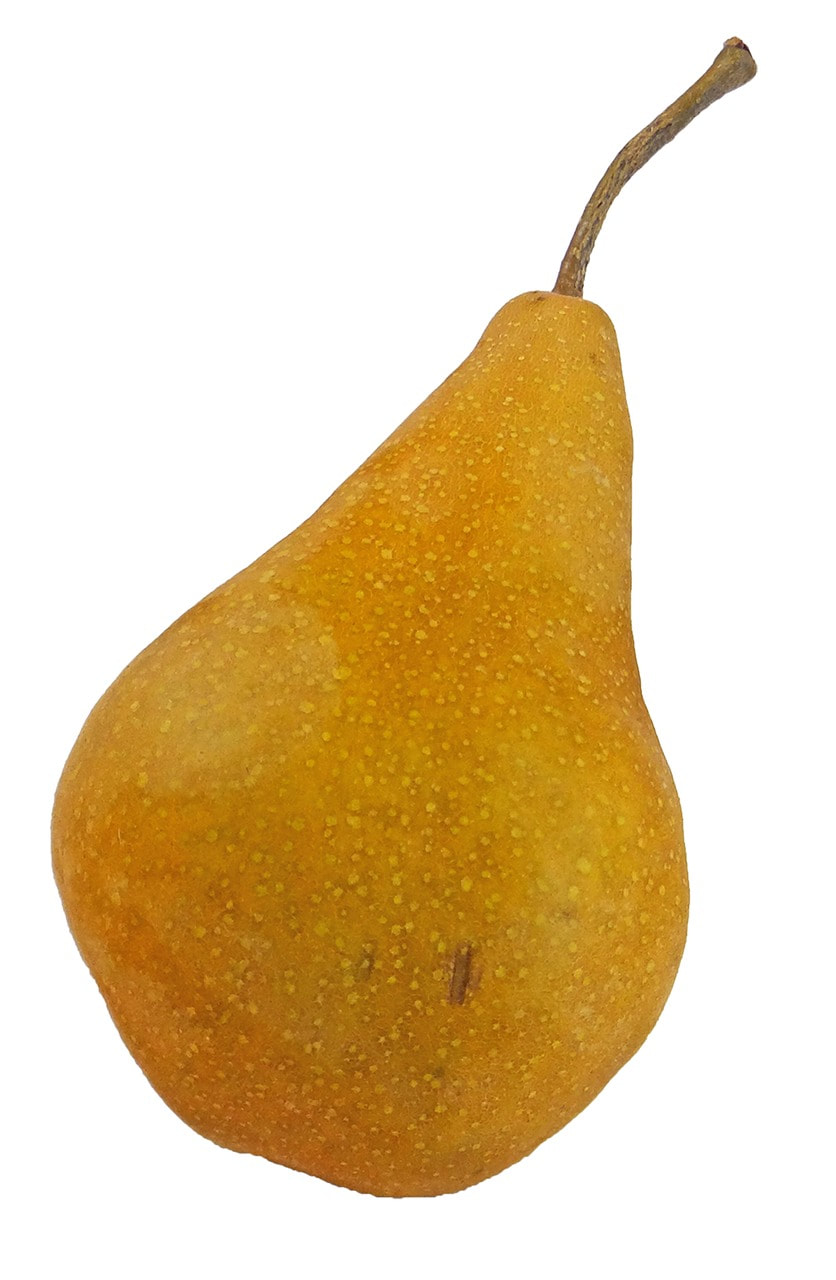 Bosc Pears – zypfresh Market